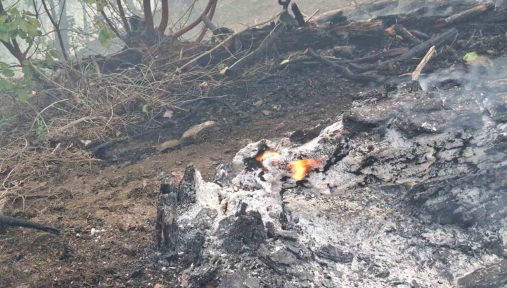 Orman yangını sürüyor: Ekipler 5 helikopter ve 110 personelle müdahale ediyor