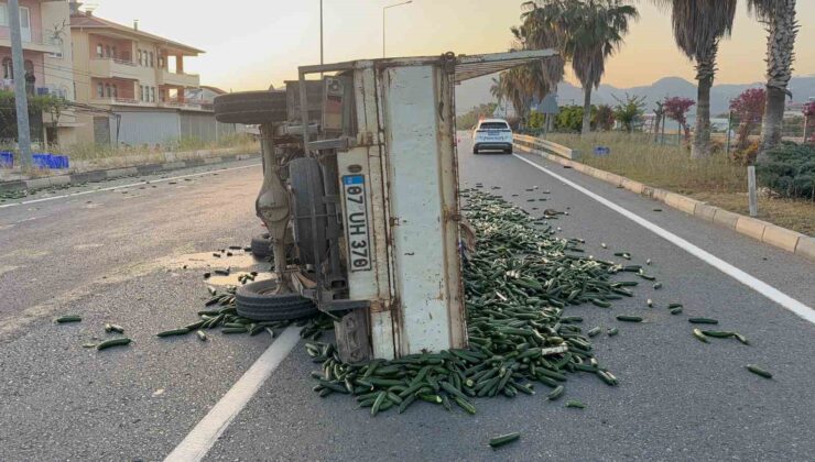 Salatalık yüklü kamyonet devrildi: Salatalıklar yola savruldu