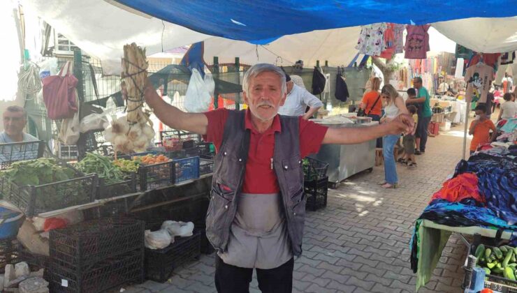 Şarkı söyleyerek ekmeğini kazanan pazarcı herkese neşe saçıyor