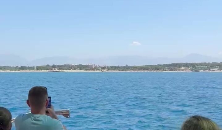 Side açıklarında Akdeniz foku görüntülendi, turistler hayretler içinde izledi