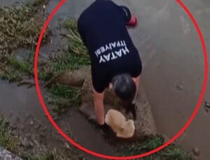 Su kanalında mahsur kalan kedinin yardımına itfaiye ekipleri koştu