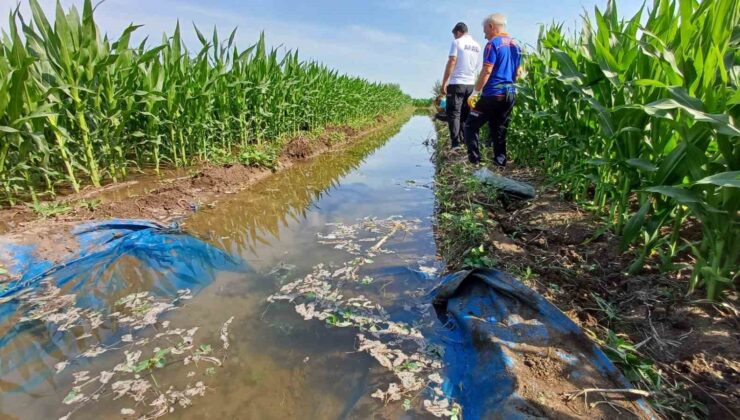 Tarla sulamaya gitti ölü olarak bulundu