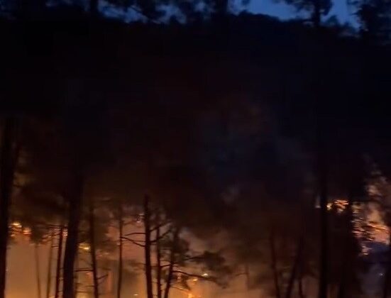 Tarsus’ta orman yangını