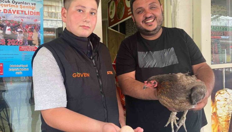 Tavuğun cesareti dönerciyi şaşkına çevirdi: Yumurtlamak için tavuk dönerciyi seçti