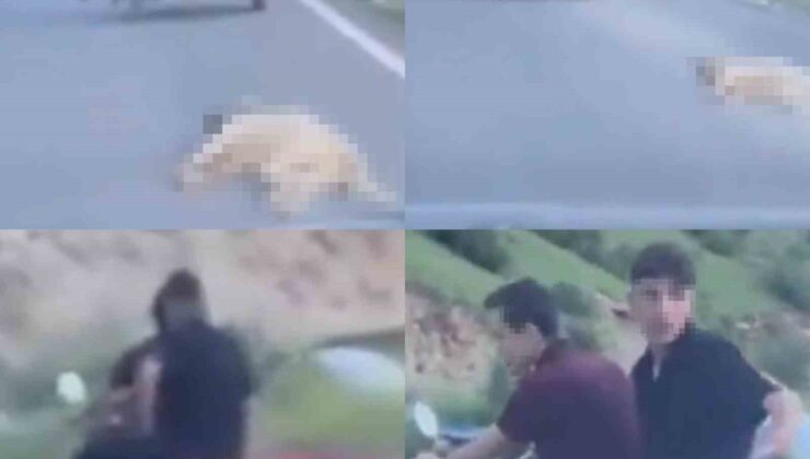 Telef olan köpeği sürükleyen şahsa 50 bin TL  ceza