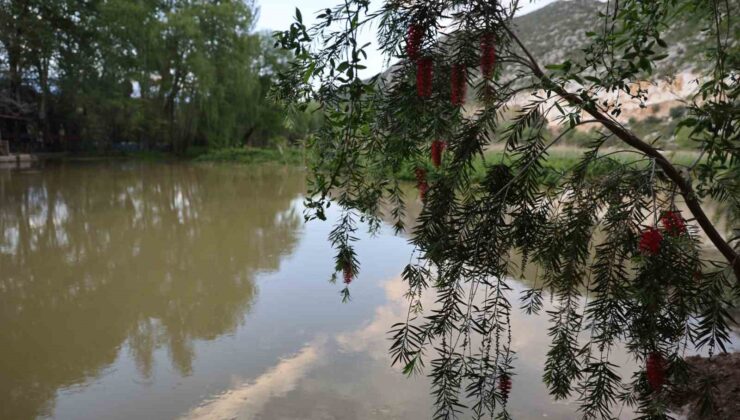 Yağmurlarla birlikte su seviyesi arttı doğa coştu