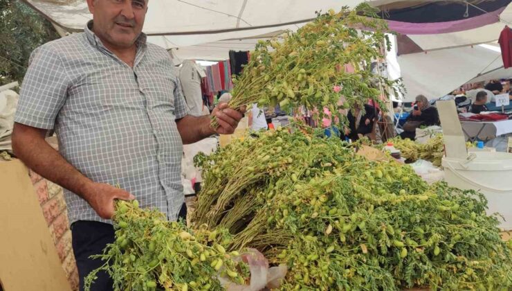Yeşil nohut tezgahlarda yerini aldı