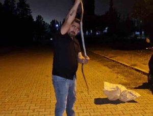Yılanlara fısıldayan adam, çamaşır makinesine giren 1 buçuk metrelik karayılanı nasihat vererek doğaya bıraktı