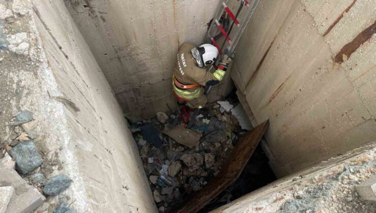 7 metrelik su kuyusuna düşen kediyi itfaiye kurtardı