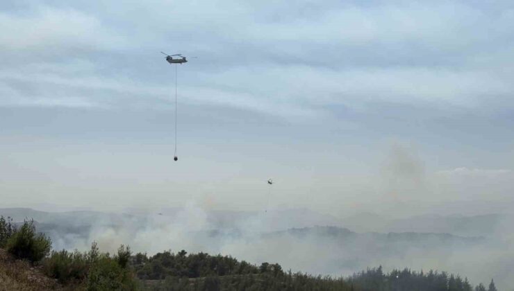 Adana’da orman yangını kontrol altında: 6 gözaltı
