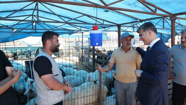 Akdeniz’de kurban satış yerleri hazır