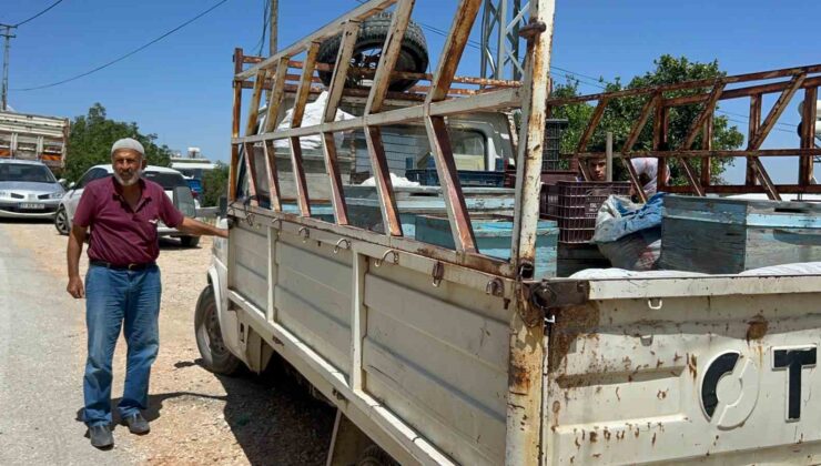 Alevlerin arasına arılarını kurtarmaya geldi