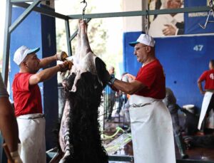 Antalya Büyükşehir Belediyesi’nden hijyenik ortamda ücretsiz kurban kesim hizmeti