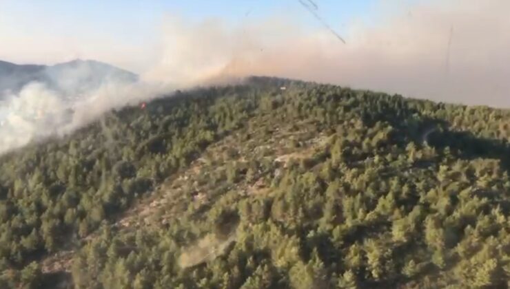 Antalya Gazipaşa’da orman yangını