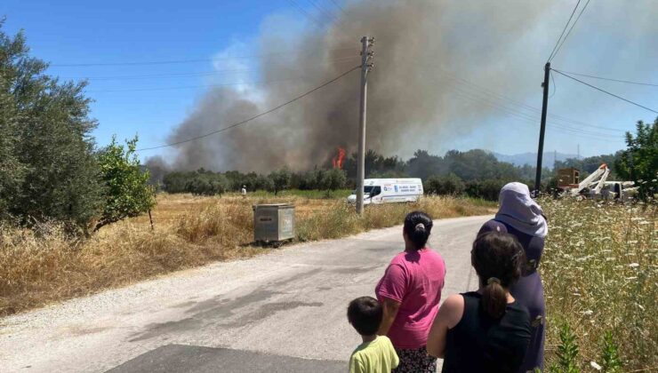 Antalya’da ormanlık alanda yangın