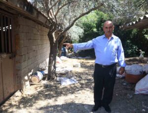 ‘Bu benim en uysal hayvanım’ dediği boğa, karayolunda trafiği durdurarak korku dolu anlar yaşattı