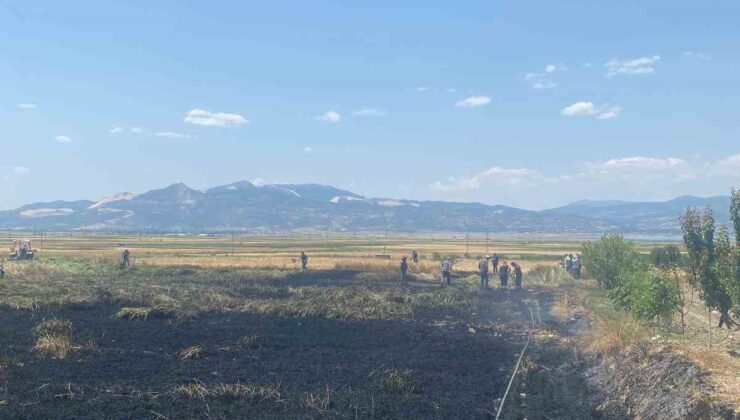 Burdur’da çıkan yangında 3 dönüm ekili alan zarar gördü