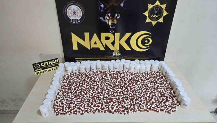 Ceyhan’da organize suç örgütü çökertildi