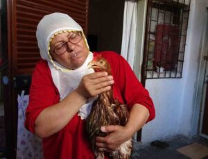 Çocuk gibi ağlayan tavuğunu kesmeye kıyamadı, iyileşmesi için veteriner aramaya başladı