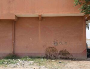 Duvara toslayan at telef oldu