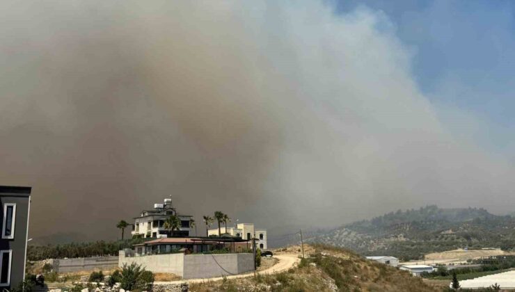 Hatay’da orman yangını