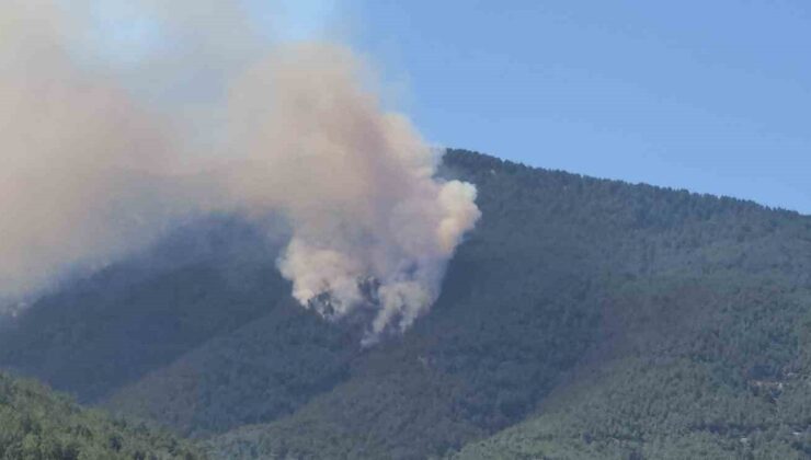 Hatay’da orman yangını