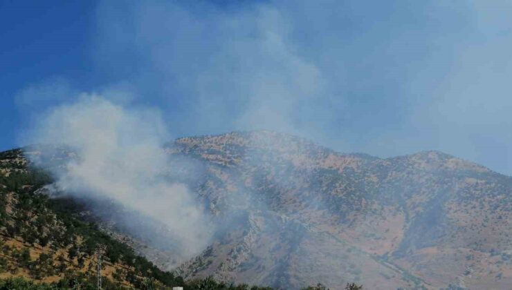 Kahramanmaraş’ta orman yangını