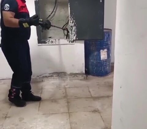 Kazan dairesinde yılan paniği
