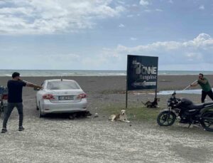Kuduz karantinasındaki 4 mahallede başıboş köpekler toplanmaya başladı