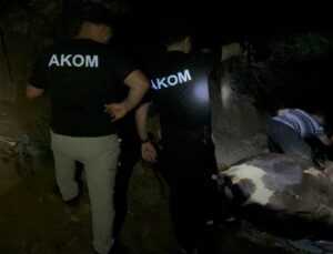 Kuyuda bulunan kayıp inek saatler süren çalışmayla kurtarıldı