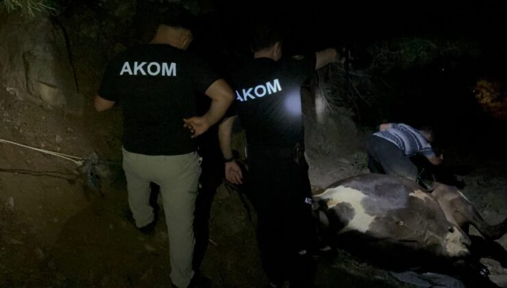 Kuyuda bulunan kayıp inek saatler süren çalışmayla kurtarıldı
