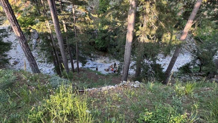 Mersin’de kekik toplarken uçurumdan yuvarlanan kadın yaralandı