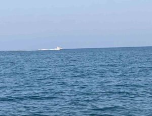 Mersin’de köpekbalığı tedirginliği