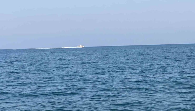 Mersin’de köpekbalığı tedirginliği