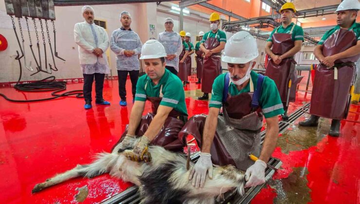 Mersin’de şehitlerin anısına kurban kesildi
