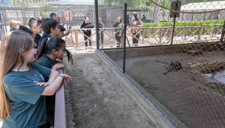 Mersin’deki ‘Minikbüs Projesi’ çocuklara gezi ve öğrenme yolculuğu sunuyor