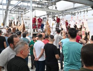 Mezbahada 250 büyükbaş kurban kesimi gerçekleştirildi