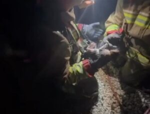 Yangında mahsur kalan kediye yürek ısıtan şefkat