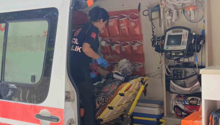 Yaya geçidinde kamyonetin çarptığı yaşlı kadın yaralandı