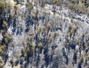 Adana’da 14 saatte 250 hektar orman yandı, acı bilanço havadan görüntülendi