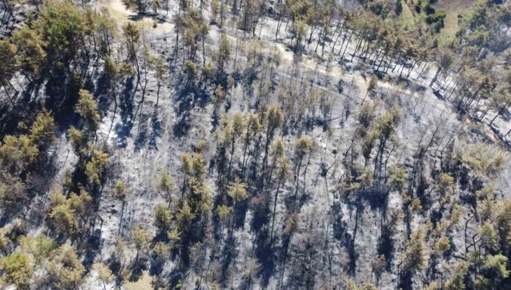 Adana’da 14 saatte 250 hektar orman yandı, acı bilanço havadan görüntülendi