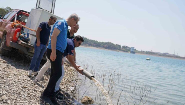 Adana’da yetişen 10 milyon 500 bin yavru sazan 12 ilde 129 göl ve göletlere bırakıldı