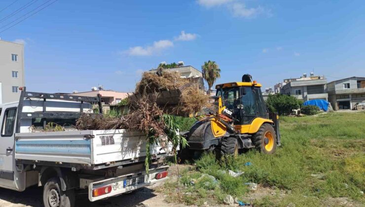Akdeniz’de moloz ve yabani ot temizliği sürüyor