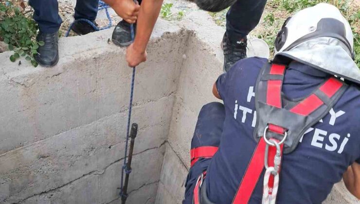 Antakya’da 10 metrelik kuyuya düşen köpeği itfaiye kurtardı