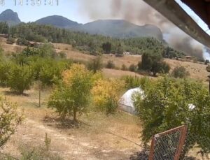 Antalya’da 3 ev, 4 ahırın yandığı orman yangınının başladığı an güvenlik kamerasında