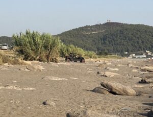 Antalya’da caretta caretta yuvaları zarar gördü