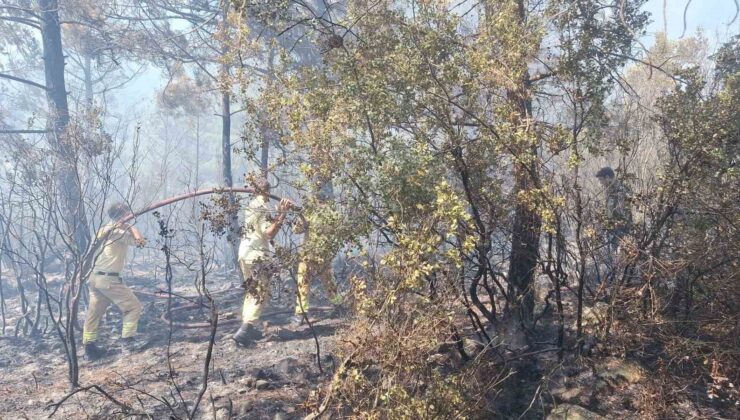 Antalya’daki orman yangınında 2,8 hektarlık alan zarar gördü