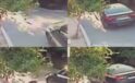Aracın üzerinden geçtiği köpek telef oldu
