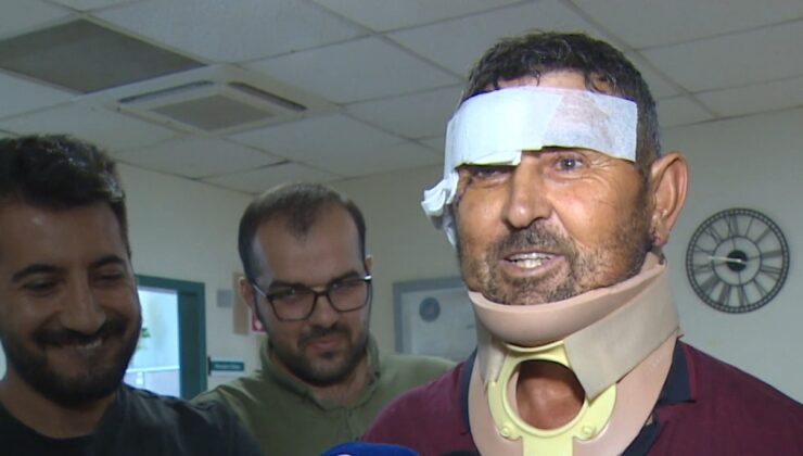 Aslanın saldırısına uğrayan adam: “Sivrisinekten ısırmasın diye üstümü örttüm, aslan ısırdı”