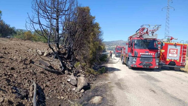 Burdur’da ceviz bahçesi ve 5 dönüm tarım arazisi yandı